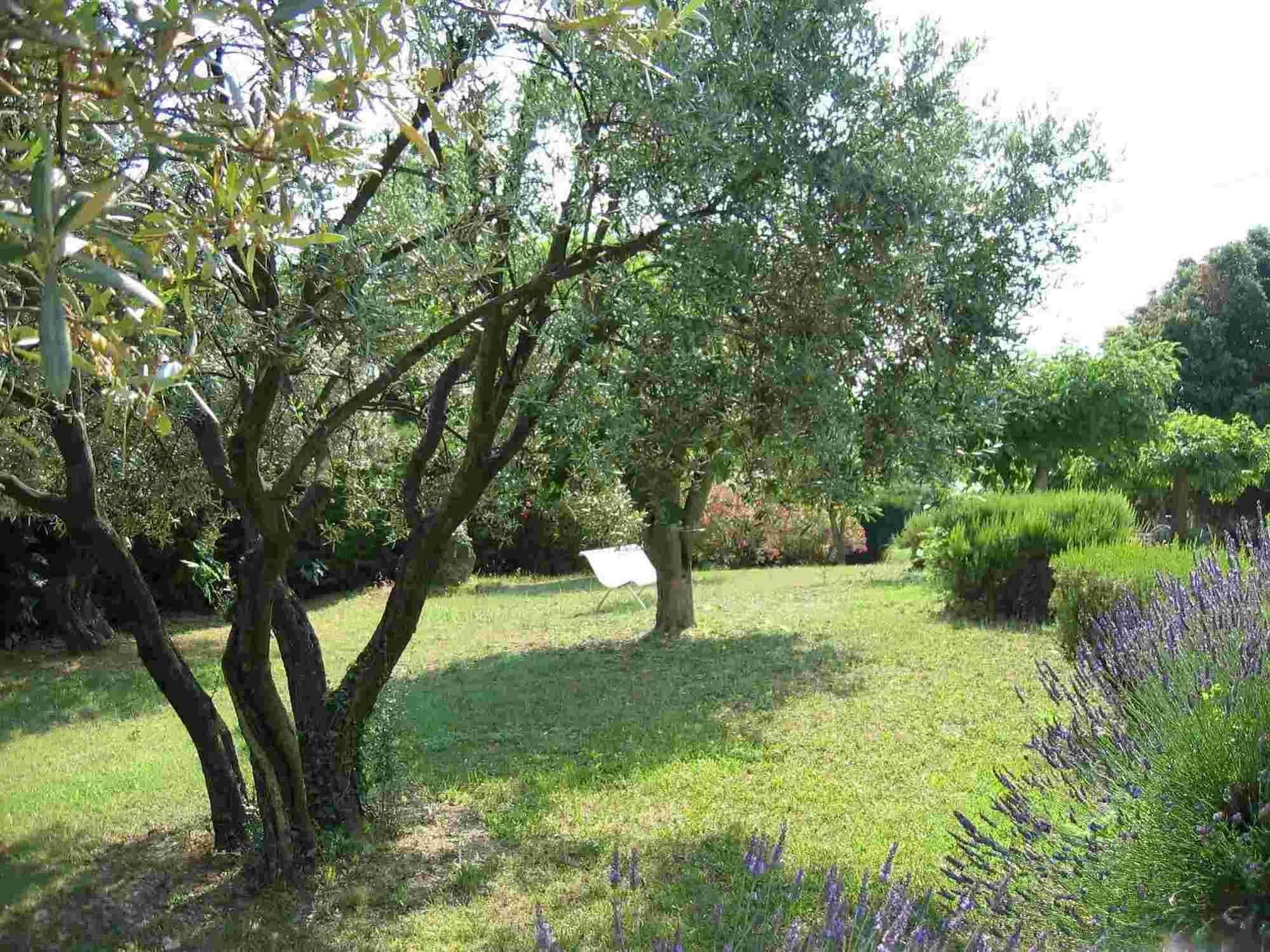مبيت وإفطار Flayosc La Vieille Bastide المظهر الخارجي الصورة